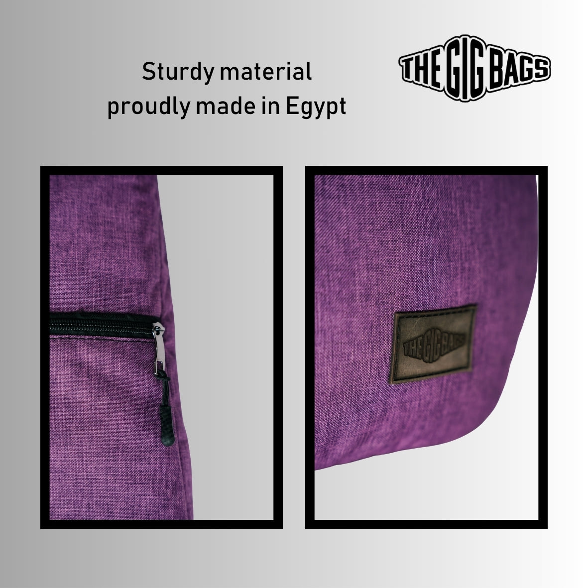 bass guitar case egypt purple bag