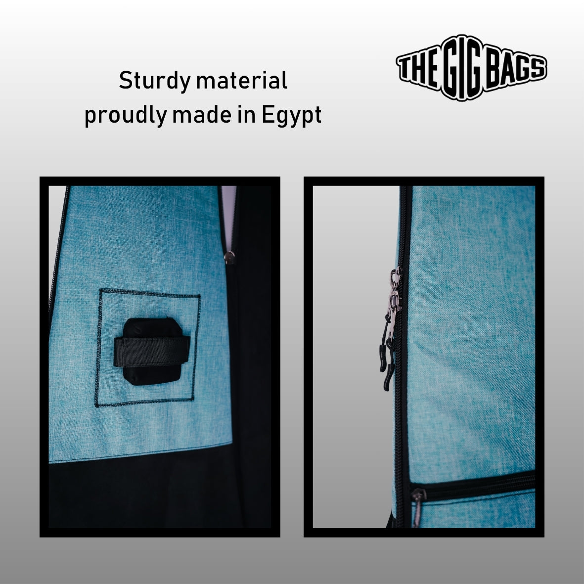 Bass guitar-bag blue padded-straps bass case