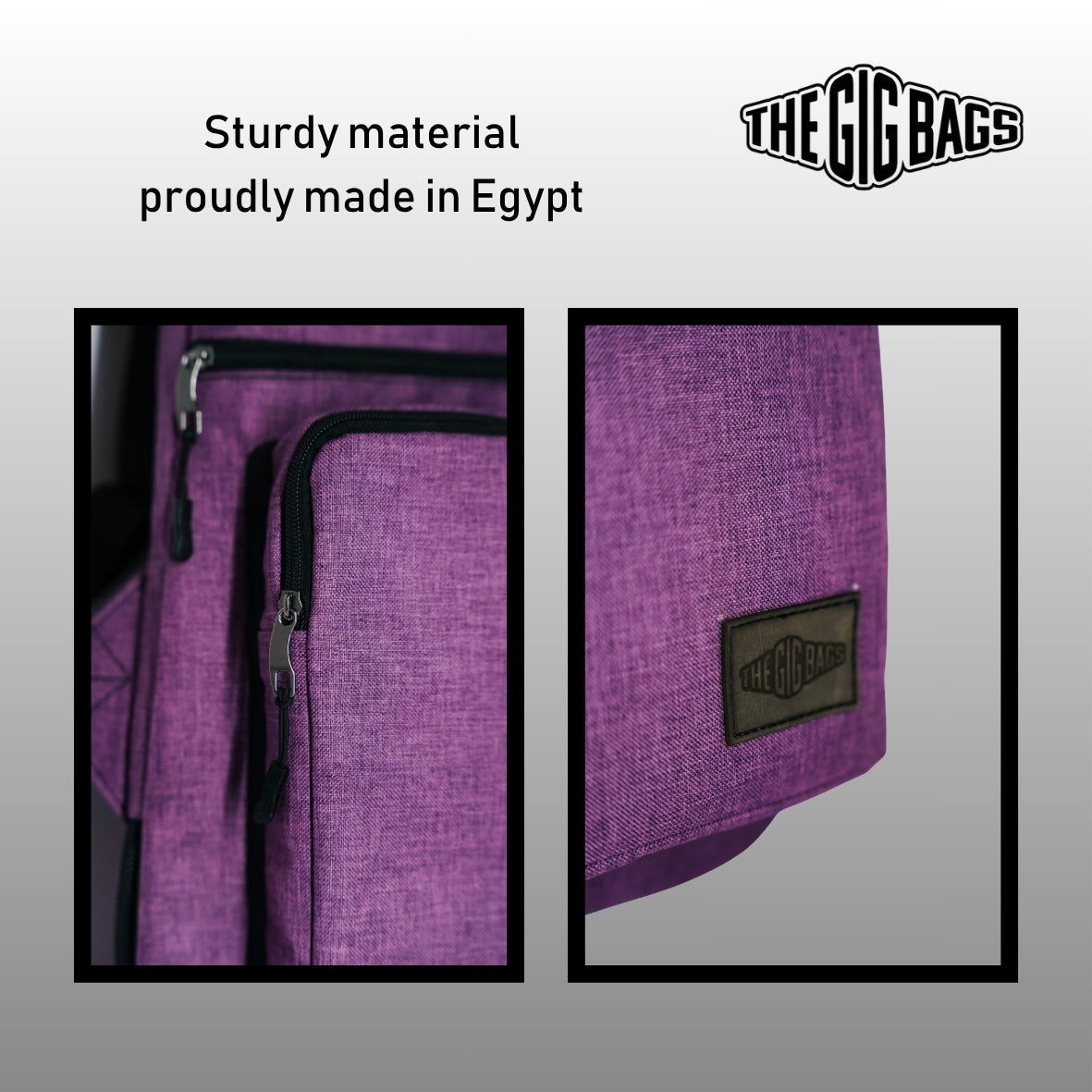 Bass guitar bag 4-pocket purple bass case